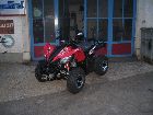 Arcticat 450I 004.TN__