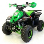 bibou2011vert